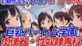 【フェラ】 巨乳ハーレム学園肉便器・性奴●専科〜純ハーレム特別編〜 【d_524976】