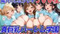 【フェラ】 真巨乳ハーレム学園ご奉仕献身ナース専科 【d_527482】