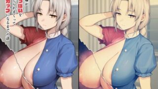 【フェラ】 永琳がおっぱいをいじられまくってPカップになるまでの話 【d_273034】