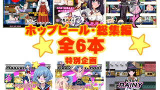 【フェラ】 ホップビール総集編6本セット 【d_241728】