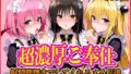 【フェラ】 ’超濃厚ご奉仕’ご主人様の射精管理までしてくれる専属メイド  とらぶる編 【d_566436】