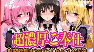 【フェラ】 ’超濃厚ご奉仕’ご主人様の射精管理までしてくれる専属メイド  とらぶる編 【d_566436】
