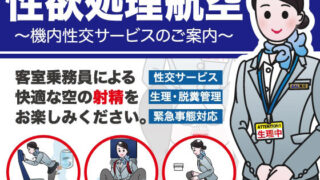 【フェラ】 性欲処理航空〜機内性交サービスのご案内〜 【d_277205】