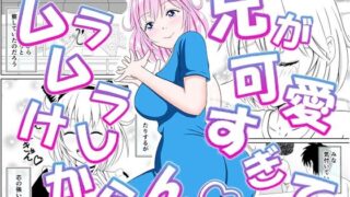 【フェラ】 兄が可愛すぎてムラムラけしからん 【d_575844】