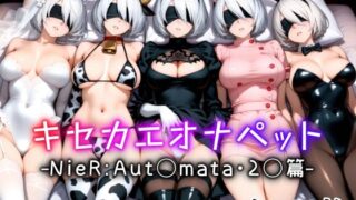 【フェラ】 キセカエオナペット -NieR Aut◯mata・2◯篇- 【d_613902】