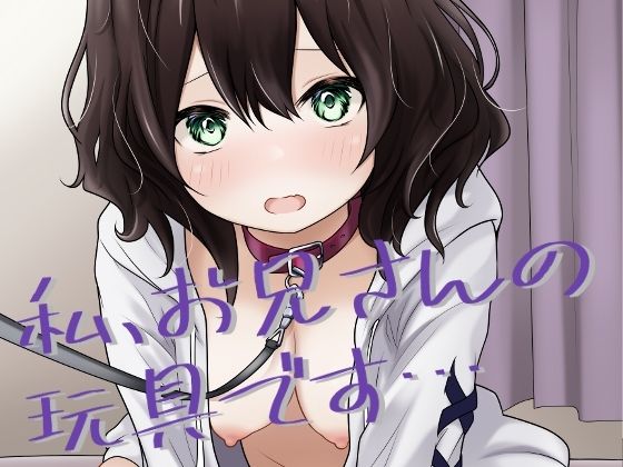 【フェラ】 私、お兄さんの玩具です… 【d_640784】
