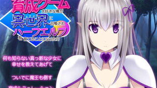 【フェラ】 育成ゲーム大好きな俺が異世界に召喚されハーフエルフを育てることになった！？ 【d_206327】