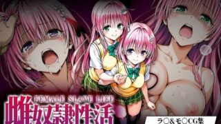 【フェラ】 雌奴○性活〜ラ○・モ○篇〜 【d_638065】