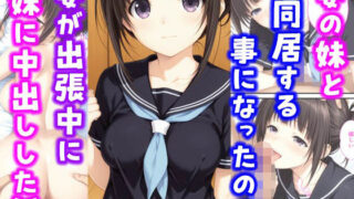 【フェラ】 妻の妹と同居することになったので妻が出張中に妹に中出しした話 【d_638934】