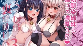 【フェラ】 コスプレ部裏活動日誌3 【d_640232】