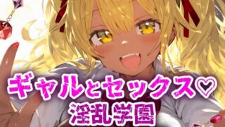 【フェラ】 淫乱学園！校内セックス乱交援交なんでもありのドスケベ学園生活！【CG集500枚】 【d_642387】