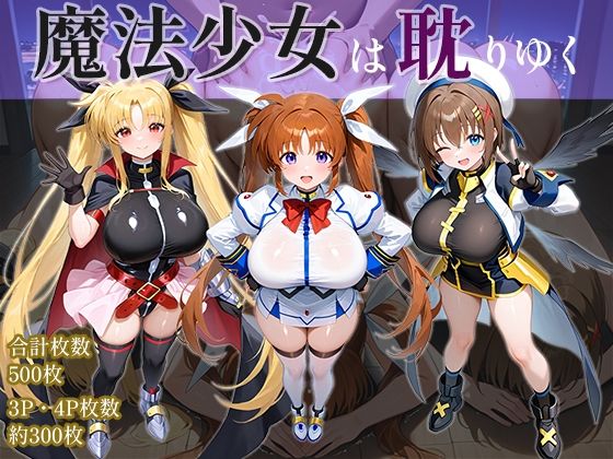 【フェラ】 魔法少女は耽りゆく 【d_642466】