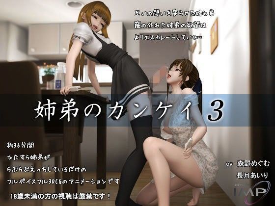 【フェラ】 姉弟のカンケイ3 【d_096743】