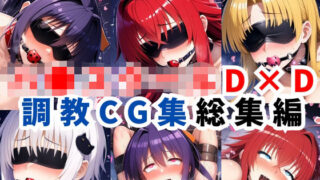 【フェラ】 ハ●スクールD×D調教CG集総集編【1000枚 全4キャラ/姫●朱乃/リアス/アーシア/塔●小猫】 【d_624115】