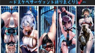 【フェラ】 俺の拘束ハーレム食べ比べ定食 vol.9 〜ドスケベサーヴァント縛りまくり3〜 【d_654069】