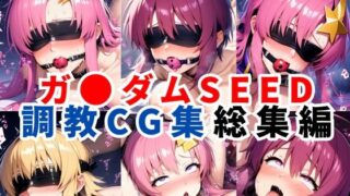 【フェラ】 ガ●ダムSEED調教CG集総集編【全4キャラ 1000枚/ラ●ス/ルナマ●ア/ミ●ア/カ●リ】 【d_634196】